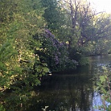 IMG 0640
