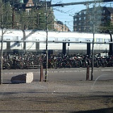 P5150010