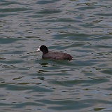 P5231766