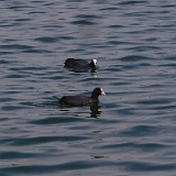 P5231767