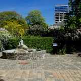 P5240011 (2)