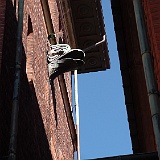 P5241868