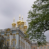 P5200078 (2)