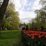 P5200115