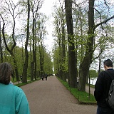 P5200119