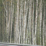 P5200081 (2)