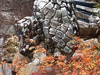 IMG 4027