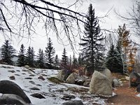 P1150101