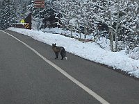 IMG 1506