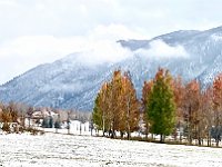 IMG E4037