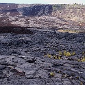 XZ-PA230766