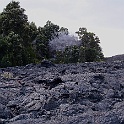 XZ-PA230742