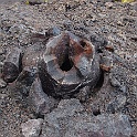 XZ-PA230743