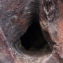 XZ-PA230745