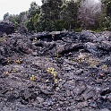 XZ-PA230748