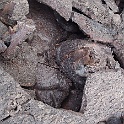 XZ-PA230755