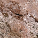 SP-PA230008