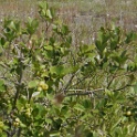SP-PA230011