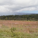 TG-PA230021
