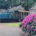 TG PB010033