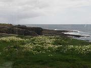 HookHead_11