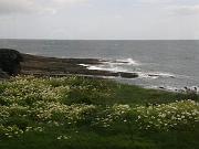 HookHead_12