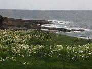 HookHead_13