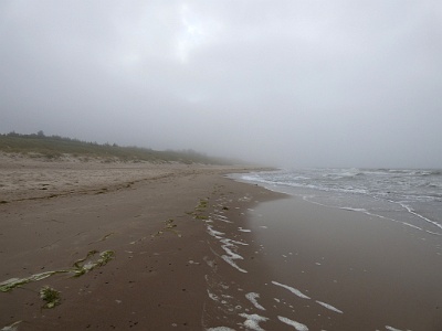 Foggy Western Beach