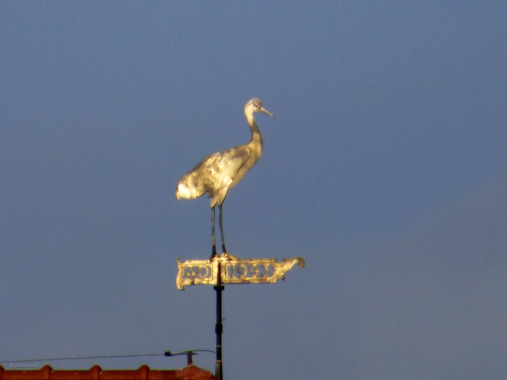 Crane on top of the Żuraw 