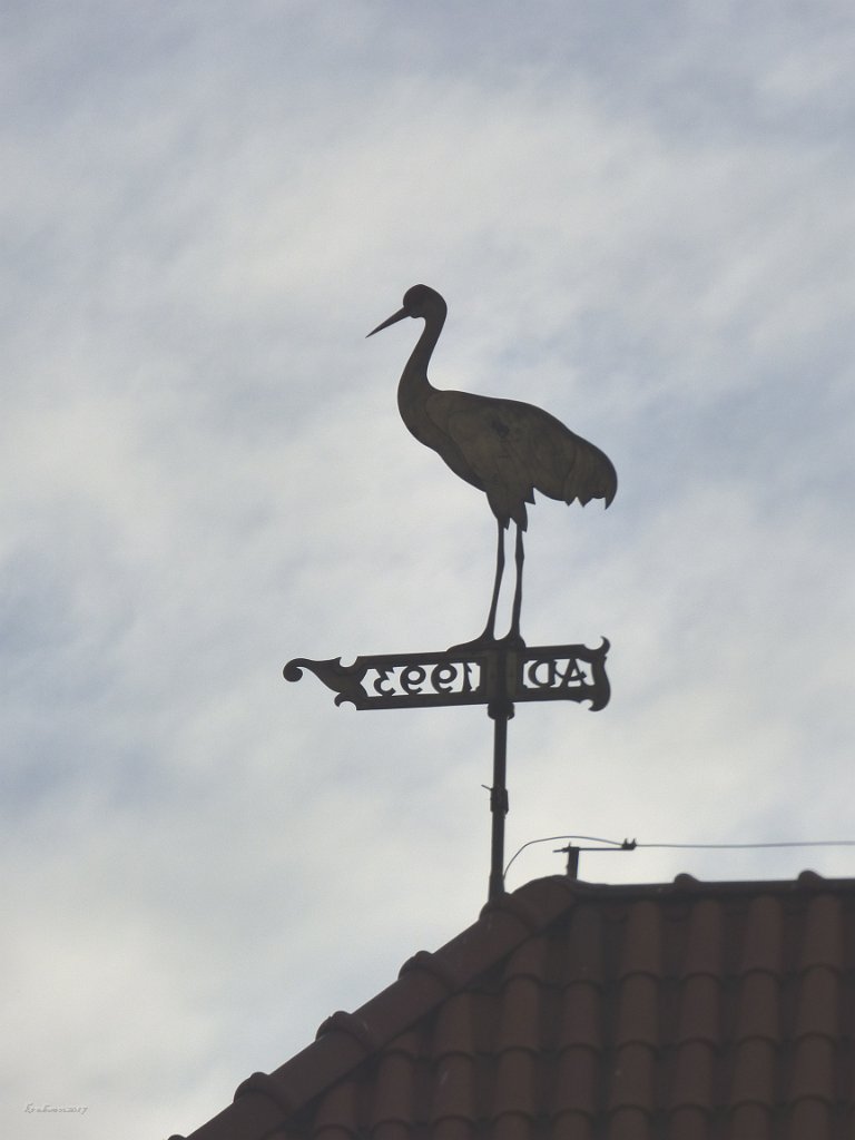 Crane on top of the Żuraw