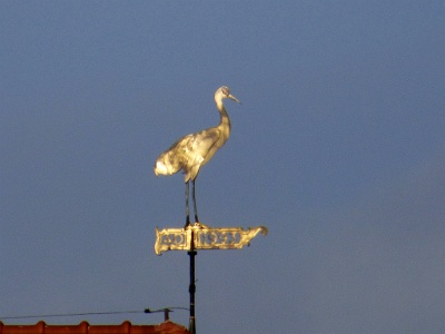 Crane on top of the Żuraw