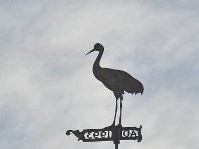 Crane on top of the Żuraw