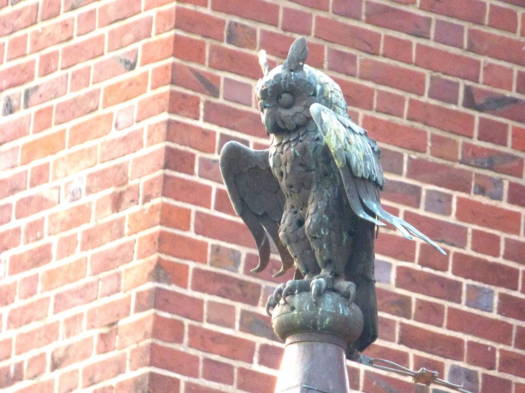 Malbork Castle 