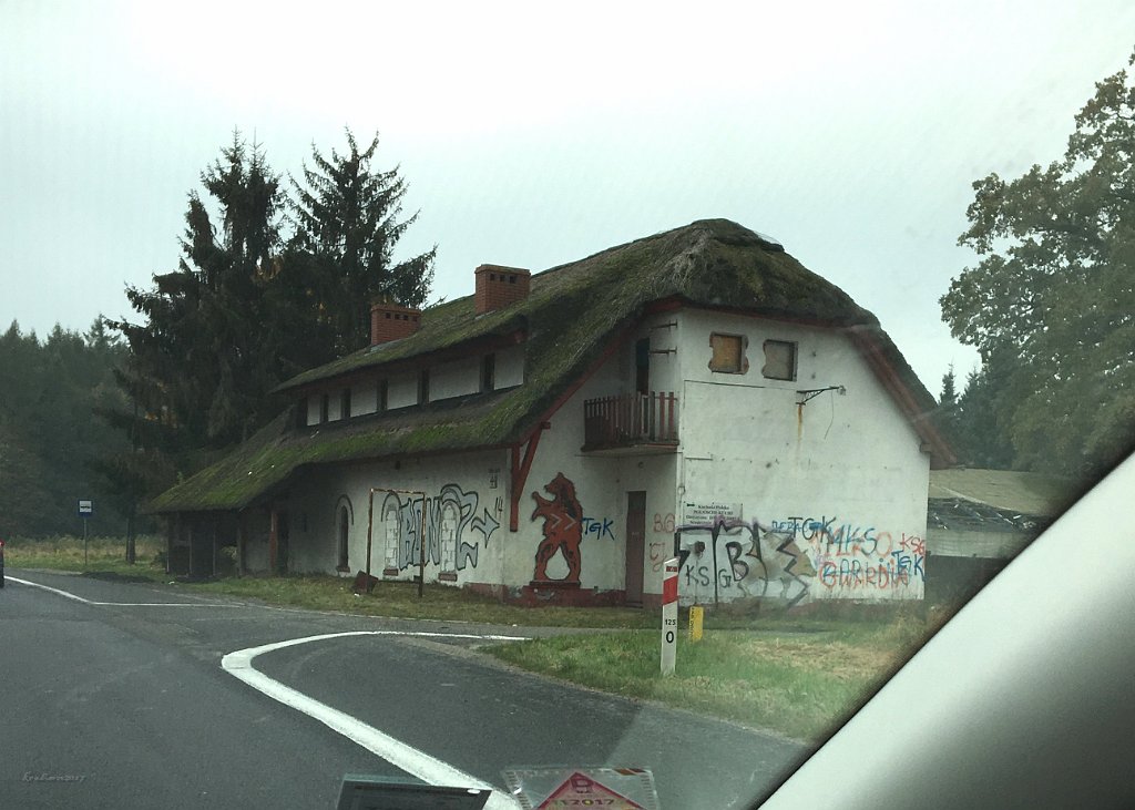 Thatched Roof