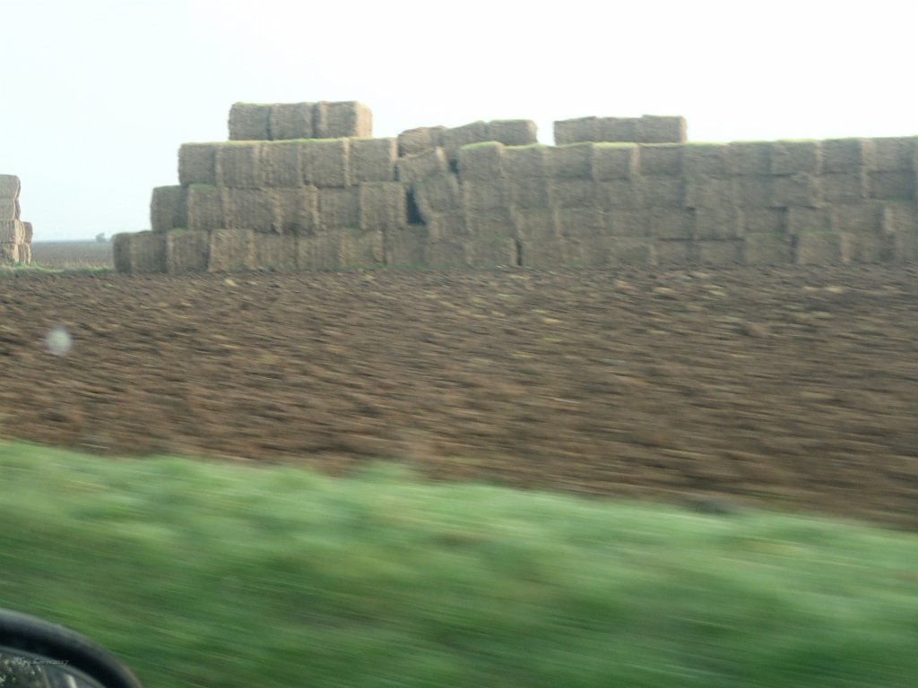 Stacked Hay