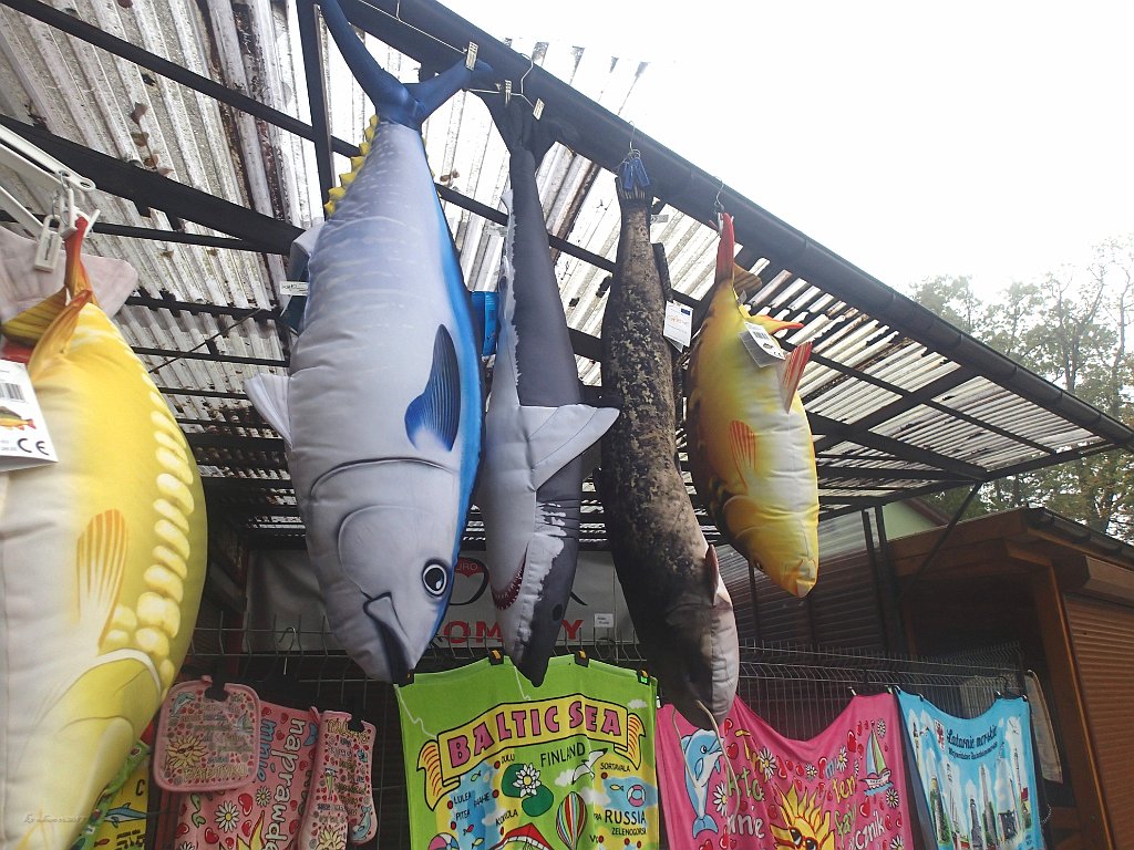 Fishy Pillows At a Souvenier shop of Darlowko. 