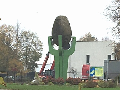 Potato Statue  Pomnik Ziemniaka