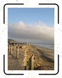 Beach__5 * 1536 x 2048 * (567KB)