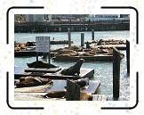 Fwharf__06 * 2048 x 1536 * (635KB)