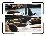 Fwharf__07 * 2048 x 1536 * (602KB)