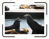 Fwharf__09 * 2048 x 1536 * (527KB)