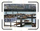 Fwharf__10 * 2048 x 1536 * (551KB)