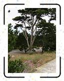GGA_21 * 2304 x 3072 * (1.4MB)