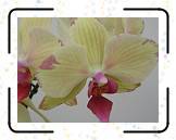 HMBA_21 * 3072 x 2304 * (1.2MB)
