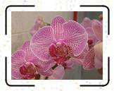 HMBA_22 * 3072 x 2304 * (1.1MB)