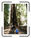 SF07__232 * 2304 x 3072 * (1.68MB)