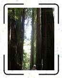 SF07__233 * 2304 x 3072 * (1.57MB)
