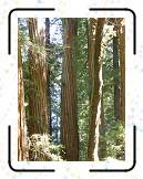 SF07__236 * 1536 x 2048 * (512KB)