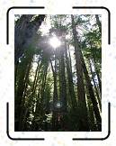 SF07__238 * 1536 x 2048 * (504KB)